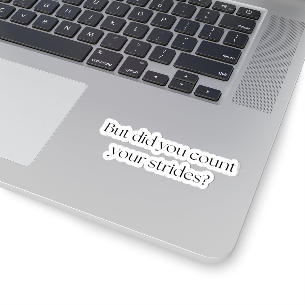 But Did You Count Your Strides Sticker