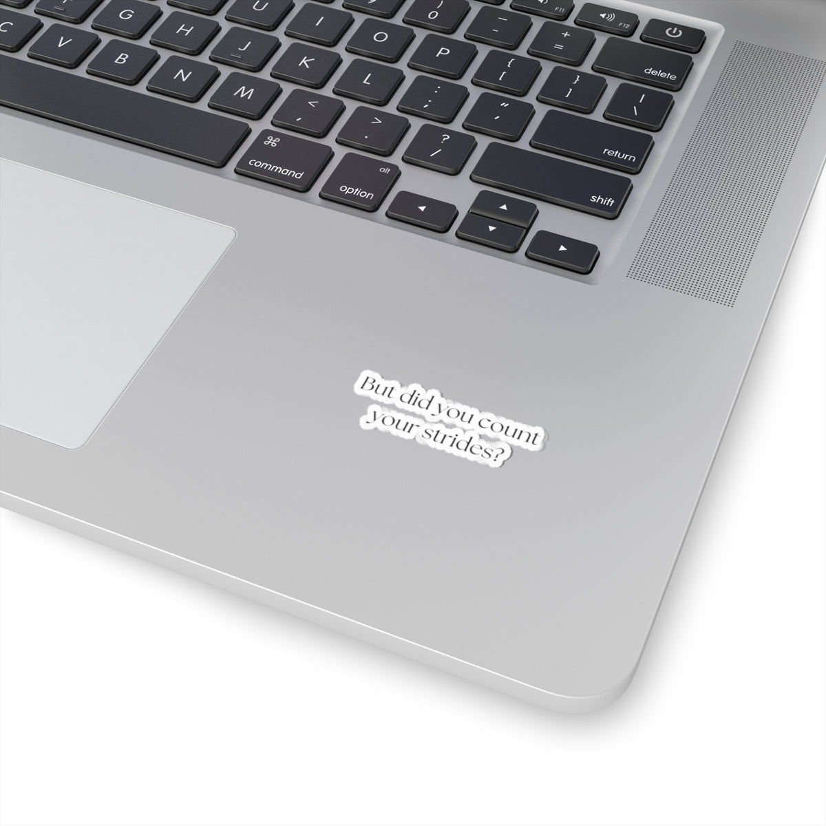 But Did You Count Your Strides Sticker